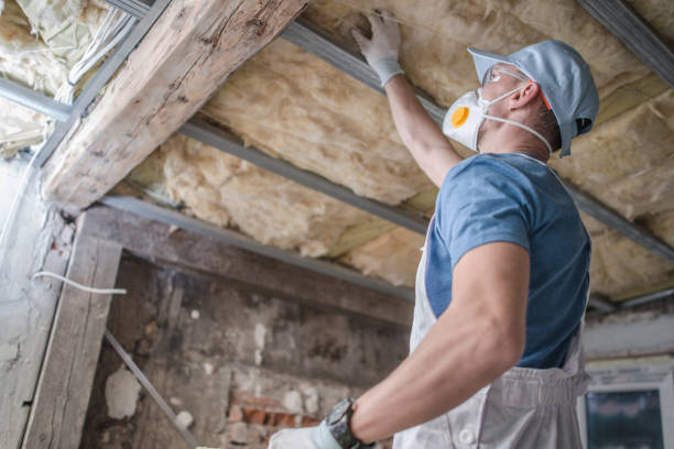 Best Insulation Maintenance and Repair in Lyndon, KY